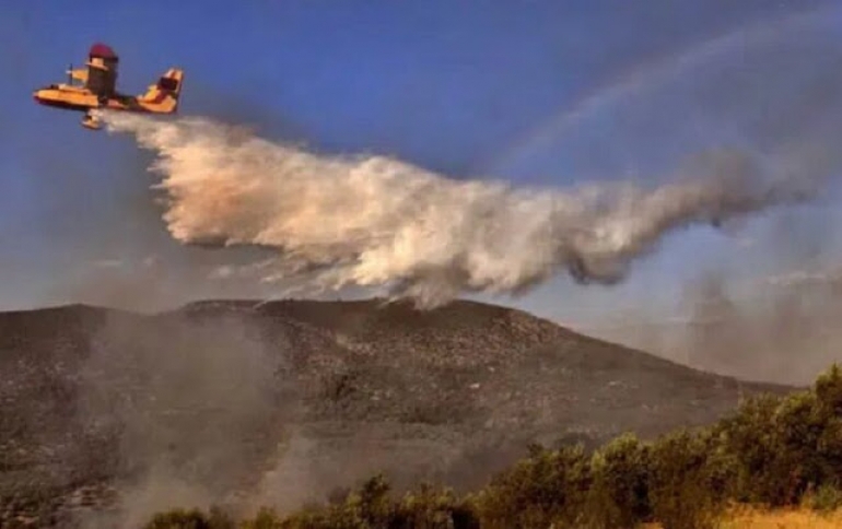 Υπό έλεγχο η φωτιά σε δασική έκταση στο Ωραίο