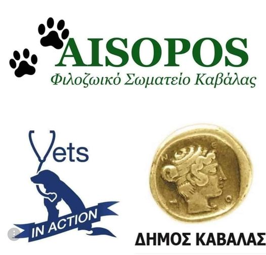 Φιλοζωϊκό Σωματείο Καβάλας «Αίσωπος» / Vets in Action: Δωρεάν στειρώσεις σε αδέσποτα ζώα (25-28/9/2021)