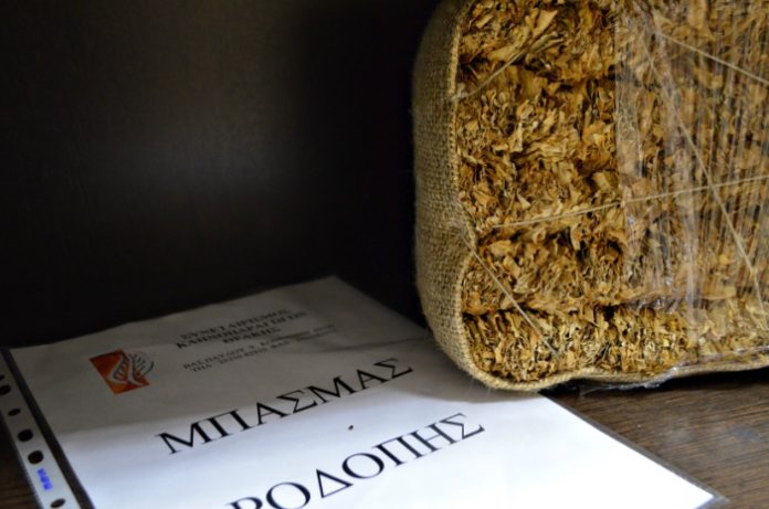 «Ενισχύσεις de minimis μόνο στους καπνοπαραγωγούς της Ροδόπης» «Ενισχύσεις de minimis μόνο στους καπνοπαραγωγούς της Ροδόπης»
