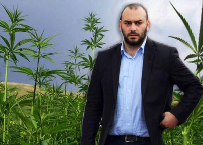 Απάντηση Γιαννακίδη σε ΚΚΕ για τη βιομηχανική κάνναβη και τη «ναρκοκουλτούρα» Απάντηση Γιαννακίδη σε ΚΚΕ για τη βιομηχανική κάνναβη και τη «ναρκοκουλτούρα»
