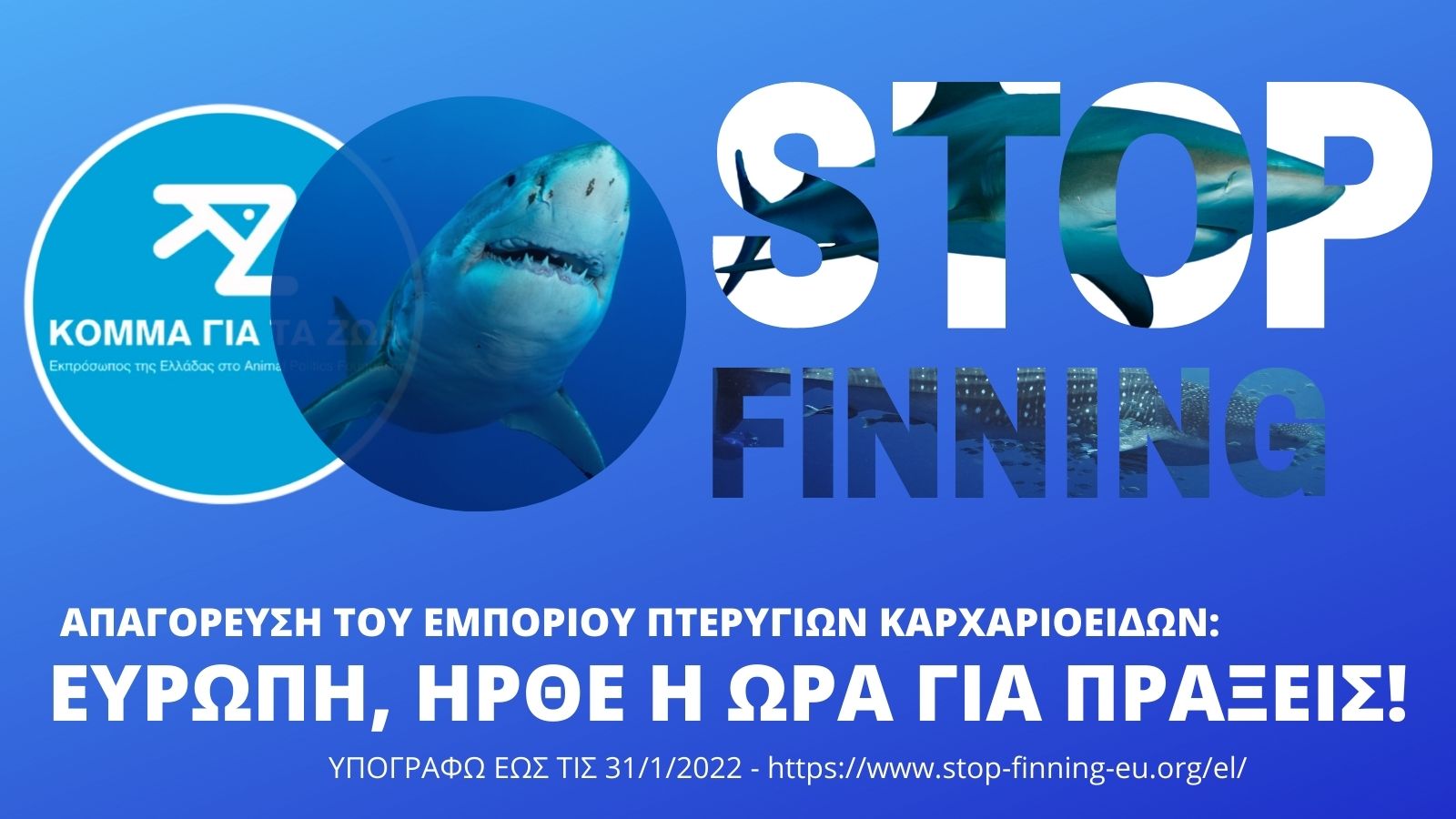Απαγόρευση του εμπορίου πτερύγιων καρχαρία στην ΕΕ: δέκα ημέρες έμειναν για την υπογραφή σας Απαγόρευση του εμπορίου πτερύγιων καρχαρία στην ΕΕ: δέκα ημέρες έμειναν για την υπογραφή σας