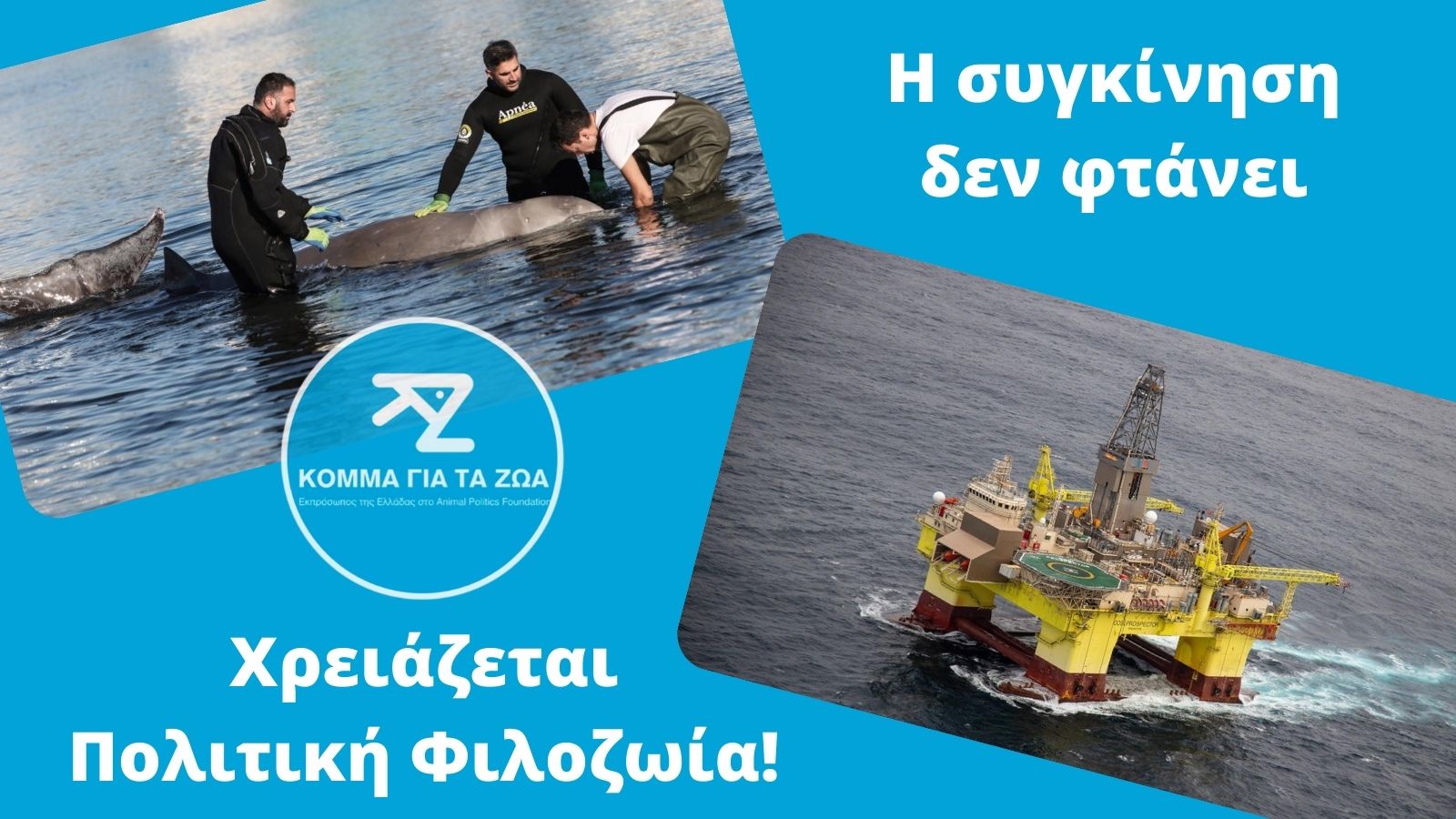 Αλέξανδρος Φραντζής: «Εάν δεν μας αρέσουν σκηνές σαν αυτές του αργού θανάτου του κητώδους στον Άλιμο, πρέπει να αλλάξουμε συμπεριφορές και επιλογές» Αλέξανδρος Φραντζής: «Εάν δεν μας αρέσουν σκηνές σαν αυτές του αργού θανάτου του κητώδους στον Άλιμο, πρέπει να αλλάξουμε συμπεριφορές και επιλογές»
