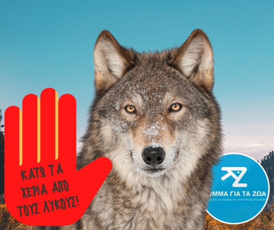 Κόμμα για τα Ζώα: Κάτω τα χέρια από τους λύκους και την άγρια ζωή !