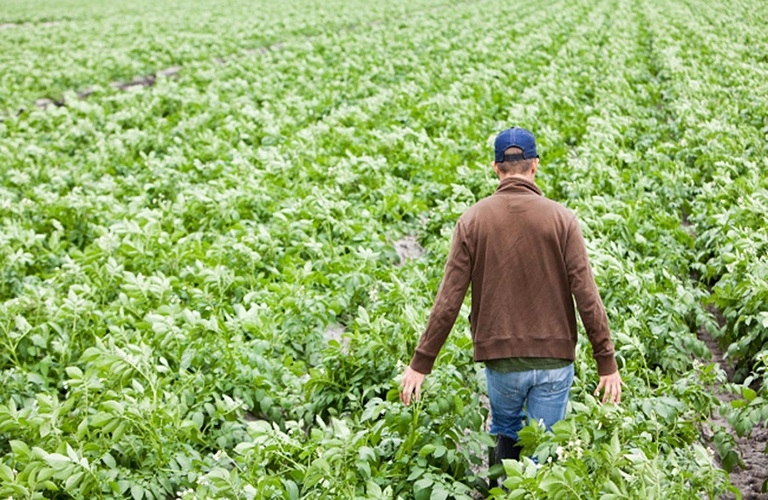 Χαρίτου: «Αρνείται ο ΥπΑΑΤ να αποκαταστήσει την αδικία  σε βάρος των νέων αγροτών που διεκδικούν να ενταχθούν στο πρόγραμμα «Εγκατάσταση Νέων Γεωργών»