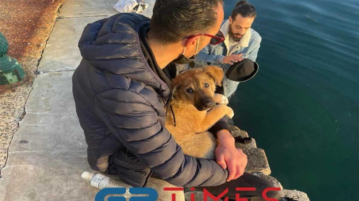 Άνδρας έπεσε στα νερά του Θερμαϊκού για να σώσει ένα σκυλάκι Άνδρας έπεσε στα νερά του Θερμαϊκού για να σώσει ένα σκυλάκι