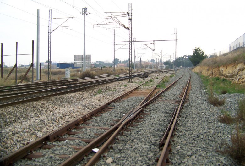 Τρένο παρέσυρε και διαμέλισε γυναίκα στο Κρυονέρι