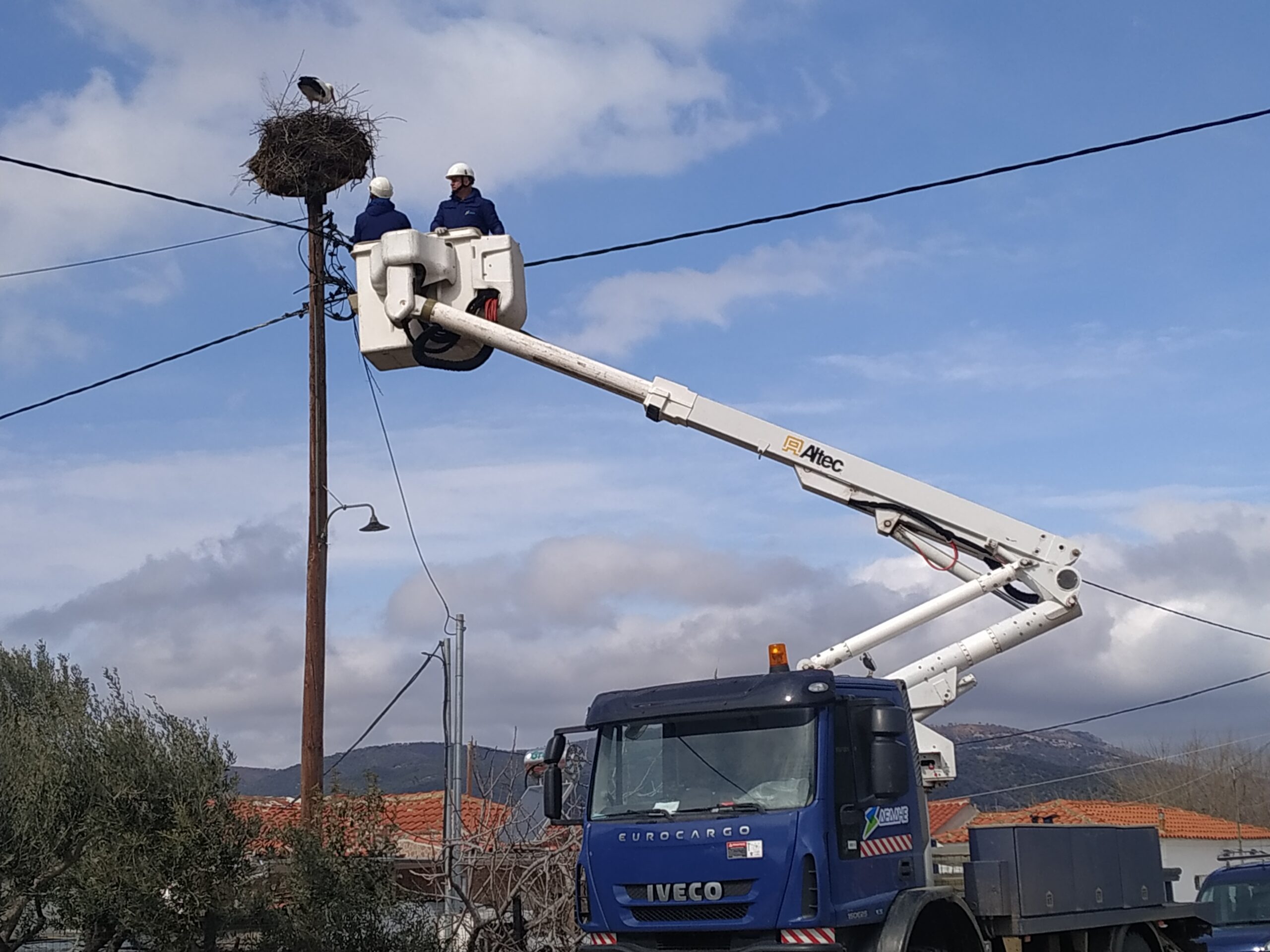 Νέα πελαργοφωλιά στον Πολύανθο Ροδόπης από τους εναερίτες της ΔΕΗ