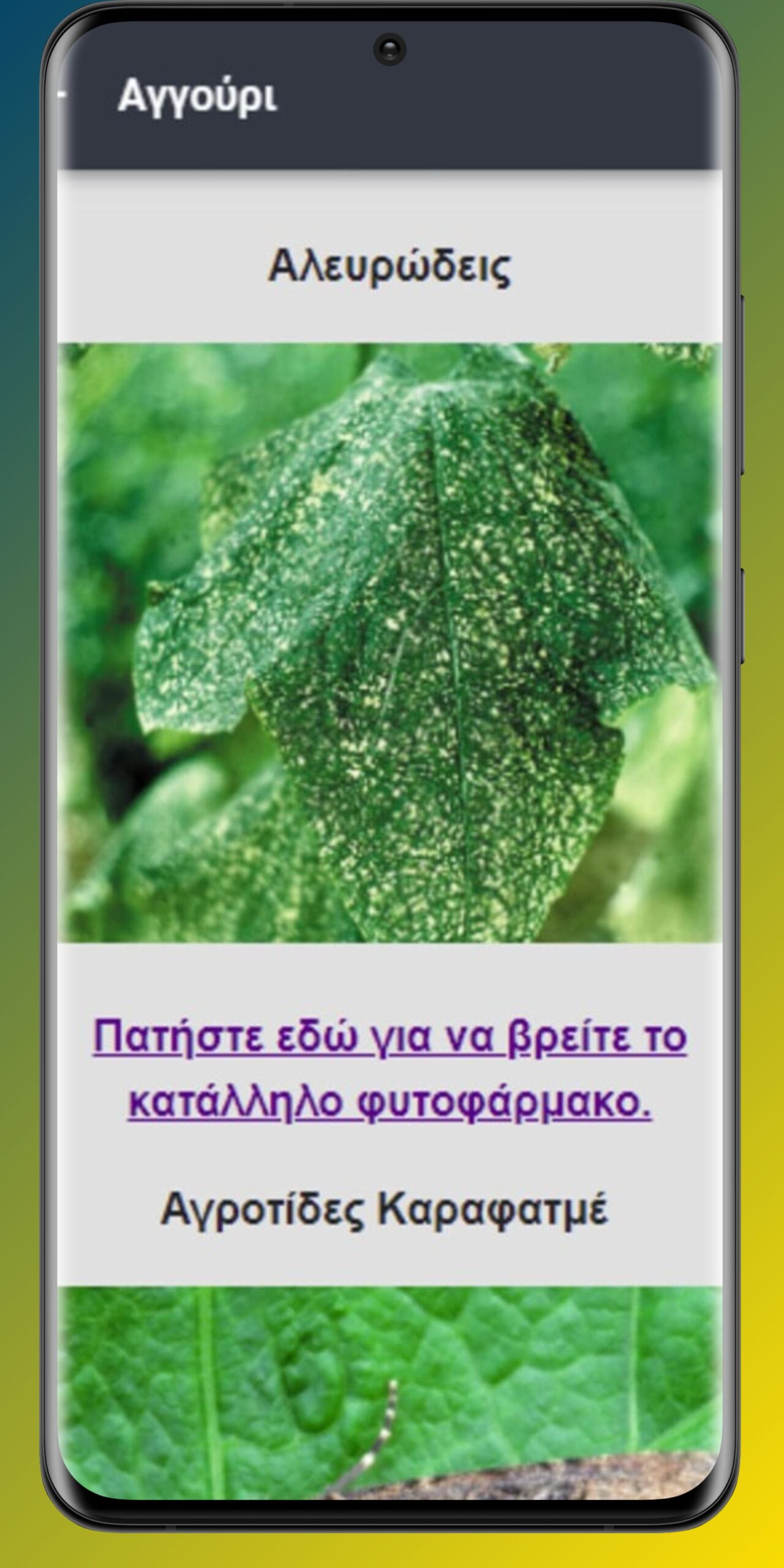 Η πρώτη ελληνική εφαρμογή κινητών φυτοπροστασίας για όλες τις καλλιέργειες στην Ελλάδα !