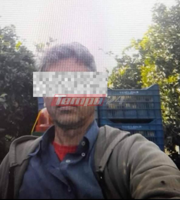 Ανδραβίδα: Συνελήφθη στην Πάτρα ο βασικός ύποπτος για τη δολοφονία των τεσσάρων ατόμων Ανδραβίδα: Συνελήφθη στην Πάτρα ο βασικός ύποπτος για τη δολοφονία των τεσσάρων ατόμων
