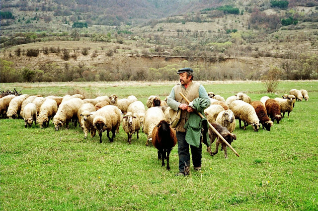 ΑΠ.ΠΑΝΑΣ: «ΣΕ ΑΠΟΓΝΩΣΗ ΟΙ ΑΓΡΟΤΕΣ ΑΠΟ ΤΟΝ ΣΥΜΨΗΦΙΣΜΟ ΕΝΙΣΧΥΣΕΩΝ ΜΕ ΤΗΝ ΕΠΙΣΤΡΕΠΤΕΑ ΠΡΟΚΑΤΑΒΟΛΗ»