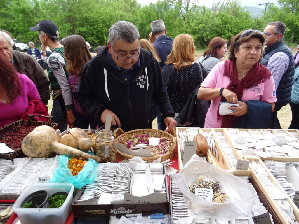 22η Γιορτή Σπόρων Πελίτι – Η διάσωση-διάδοση και διανομή των σπόρων 22η Γιορτή Σπόρων Πελίτι – Η διάσωση-διάδοση και διανομή των σπόρων