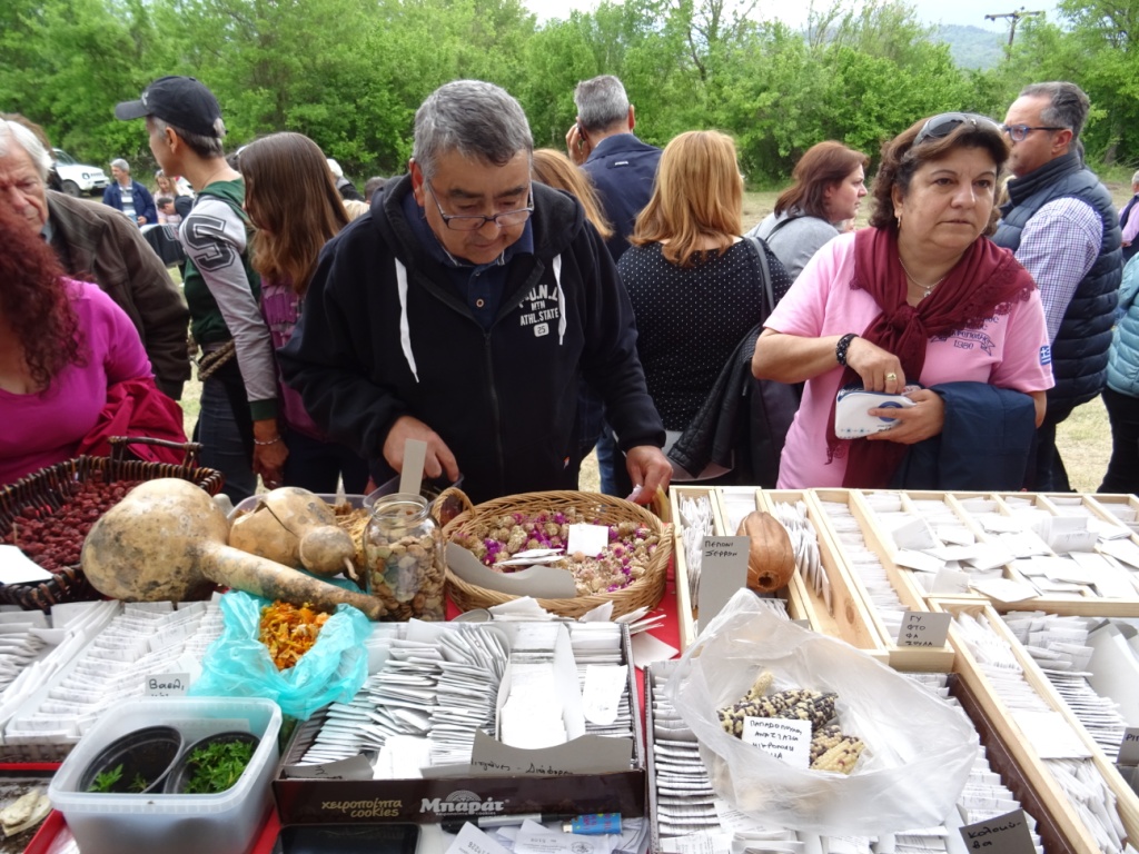 22η Γιορτή Σπόρων Πελίτι – Η διάσωση-διάδοση και διανομή των σπόρων