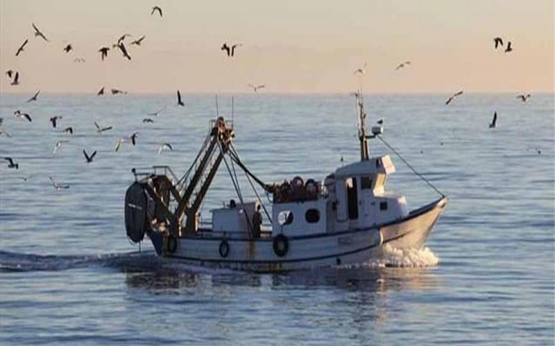 Απαγόρευση αλιείας σε περιοχές ευθύνης της ΠΕ Έβρου