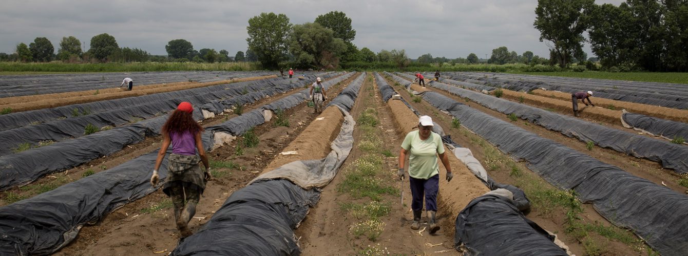 Η ρύθμιση για τη μείωση φόρου 50% σε αγρότες