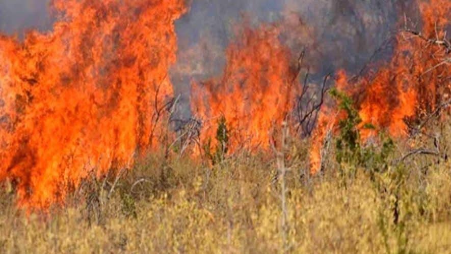 Στη Βουλή από τη Ν. Γκαρά η αντιπυρική θωράκιση του Νομού Έβρου Στη Βουλή από τη Ν. Γκαρά η αντιπυρική θωράκιση του Νομού Έβρου