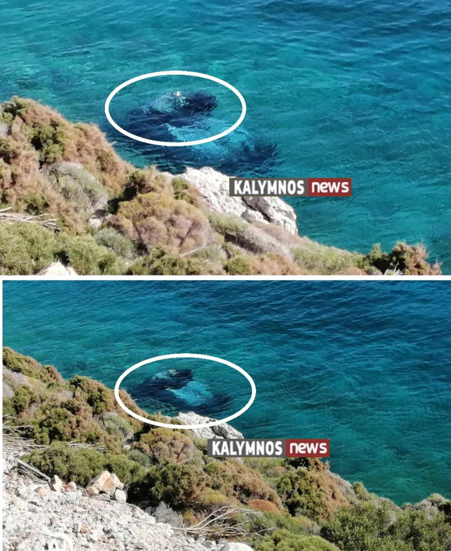 Νεκρός 75χρονος που έπεσε στη θάλασσα με το αυτοκίνητό του στην Κάλυμνο Νεκρός 75χρονος που έπεσε στη θάλασσα με το αυτοκίνητό του στην Κάλυμνο
