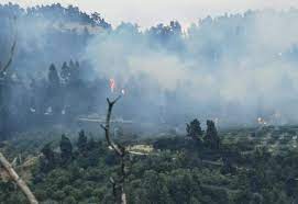 Σε ύφεση η φωτιά σε δασική έκταση στην Κασσάνδρα Χαλκιδικής