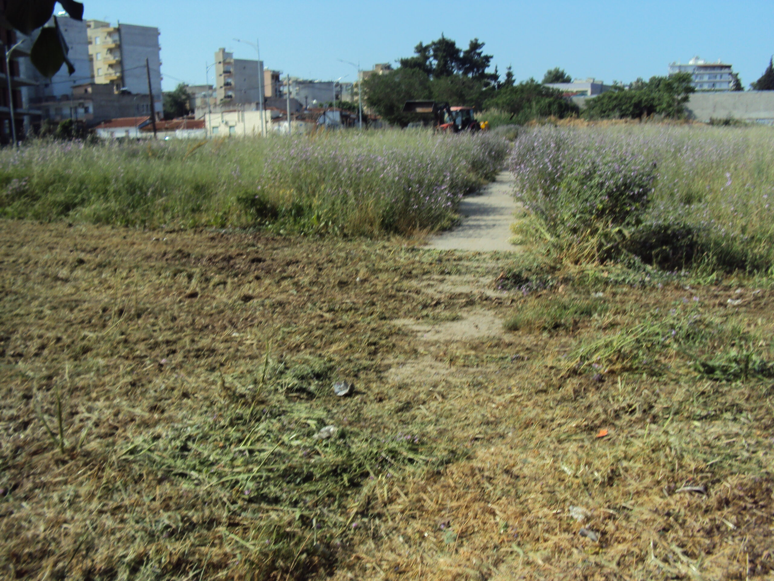 Τι θα γίνει με την έκταση αυτή, προβλέπεται κάτι το χρήσιμο !;