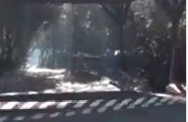 84χρονος έβαλε τέλος στη ζωή του στην Ανθούσα – Δεν άντεξε να βλέπει να καίγεται το σπίτι του 84χρονος έβαλε τέλος στη ζωή του στην Ανθούσα – Δεν άντεξε να βλέπει να καίγεται το σπίτι του