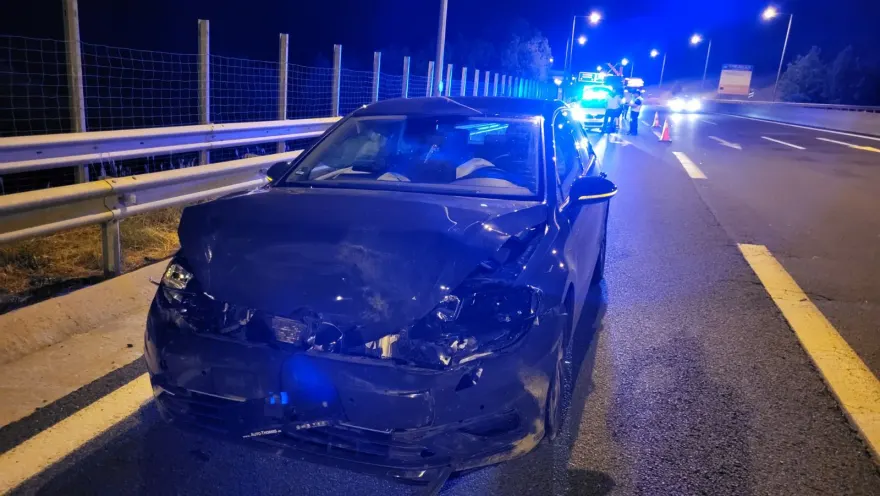 Αρκούδα συγκρούστηκε με αυτοκίνητο στην Εγνατία Οδό Γρεβενών – Κοζάνης Αρκούδα συγκρούστηκε με αυτοκίνητο στην Εγνατία Οδό Γρεβενών – Κοζάνης