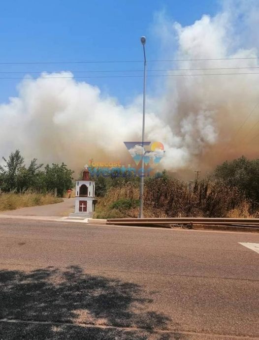 Ανεξέλεγκτη πυρκαγιά στην περιοχή της Φωκίδας!