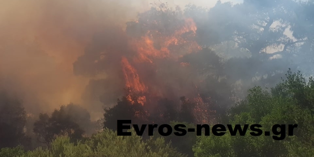 Μεγάλη φωτιά στην περιοχή Αρίστηνο Αλεξανδρούπολης (ΒΙΝΤΕΟ)