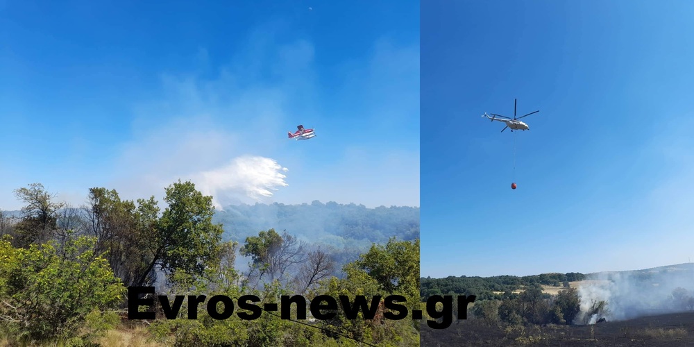 Τέθηκε υπό έλεγχο η πυρκαγιά στην περιοχή Φερών