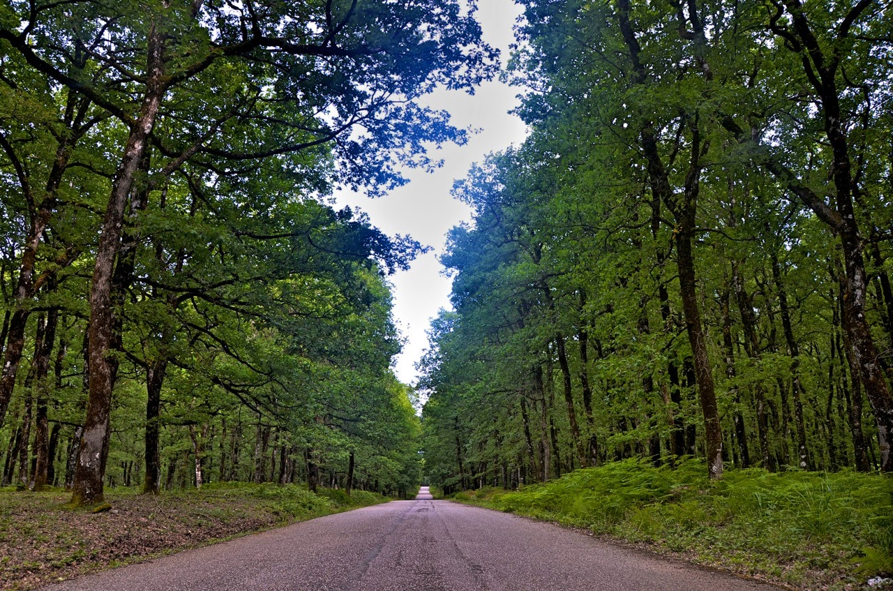 ΑΣΕΠ: 1.200 προσλήψεις στο υπουργείο Περιβάλλοντος ΑΣΕΠ: 1.200 προσλήψεις στο υπουργείο Περιβάλλοντος