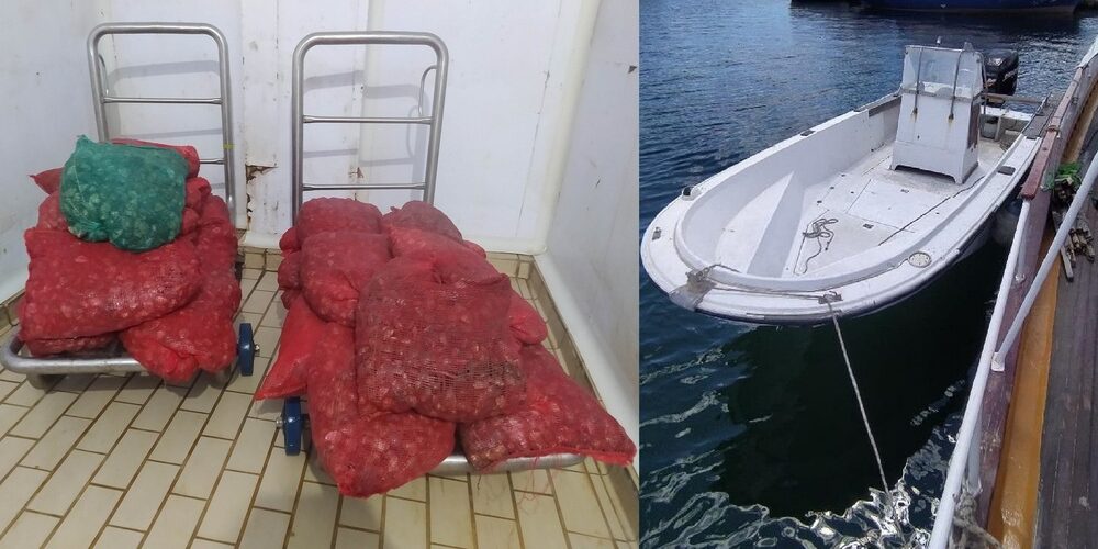 Συνελήφθη με 400 κιλά ακατάλληλα όστρακα στην Αλεξανδρούπολη Συνελήφθη με 400 κιλά ακατάλληλα όστρακα στην Αλεξανδρούπολη