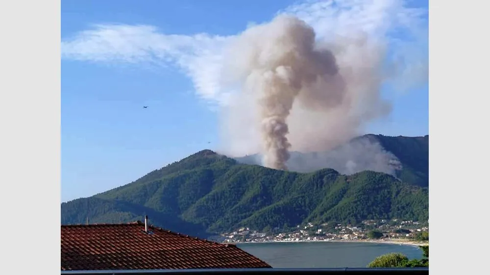 Η πυρκαγιά του Αυγούστου στη Θάσο έκαψε 2.770 στρέμματα