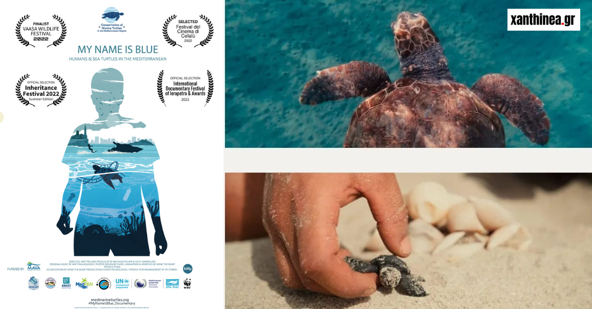 Οι θαλάσσιες χελώνες των Αβδήρων προβάλλονται στο διεθνές ντοκιμαντέρ «My Name is Blue»