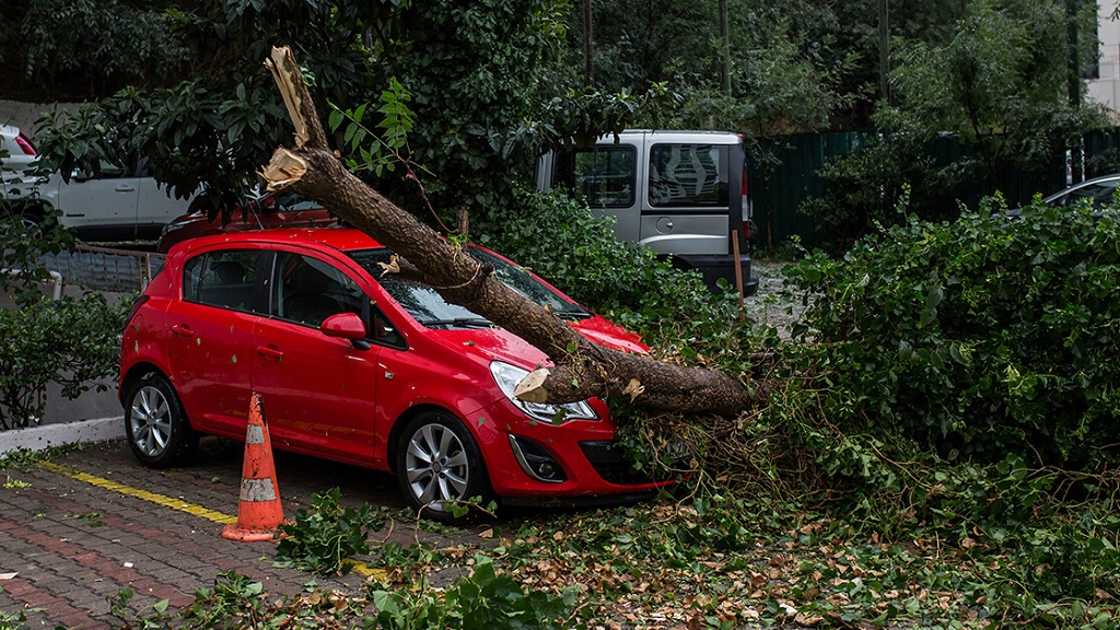 Τύχη είχε νεαρός στα Γιάννενα καθώς έπεσε δέντρο πάνω στο αυτοκίνητό του