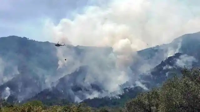 Στον εισαγγελέα 65χρονος ως ύποπτος για τη φωτιά στη Θάσο