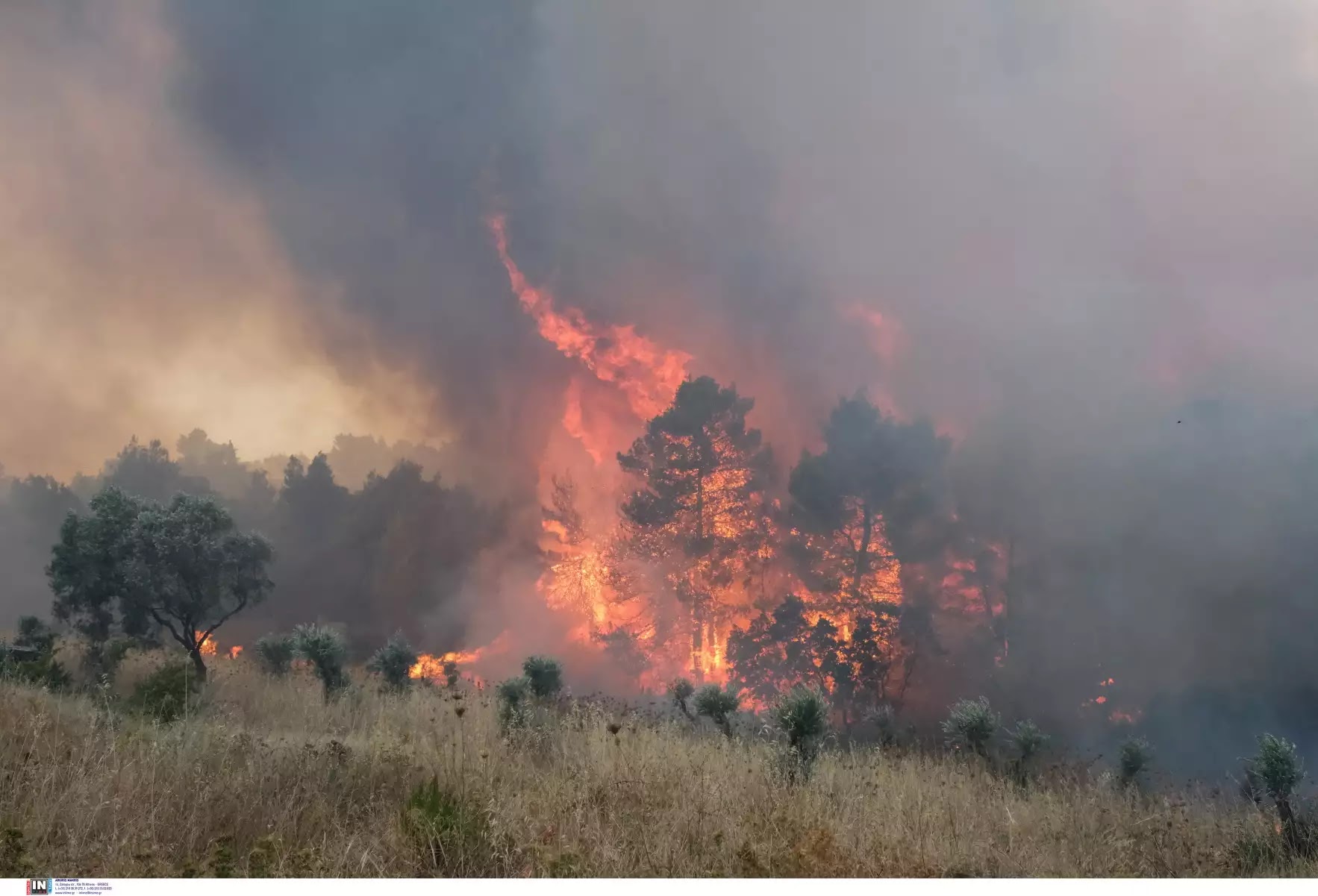 Πυρκαγιά σε περιοχή του Σουφλίου