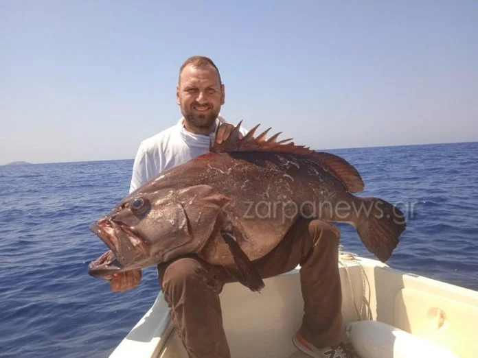 Ψάρι 42 κιλών έπιασαν ερασιτέχνες ψαράδες στα Χανιά