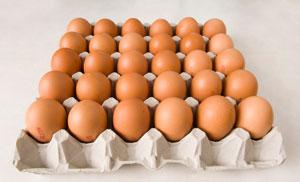 Δεν γεννούν αυγά στην Κίνα οι κότες λόγω… καύσωνα!