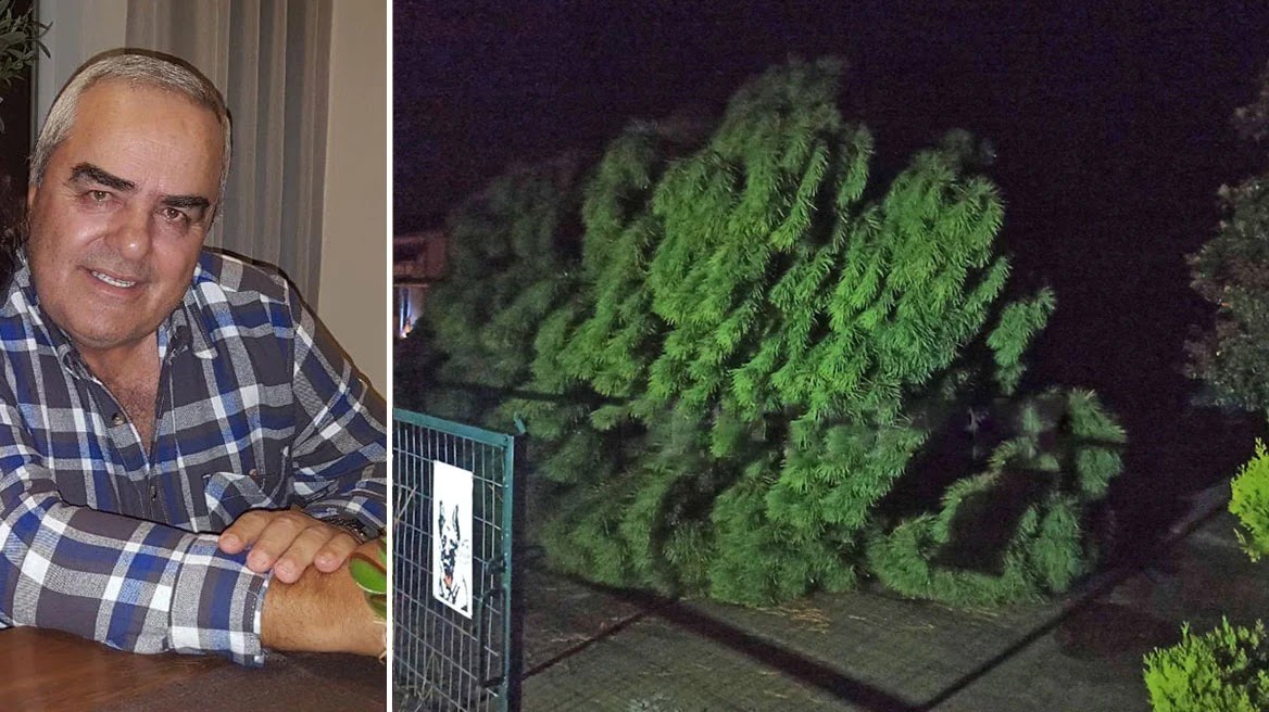 Σέρρες: Δέντρο καταπλάκωσε 69χρονο – Συγκλονίζει ο αδελφός του
