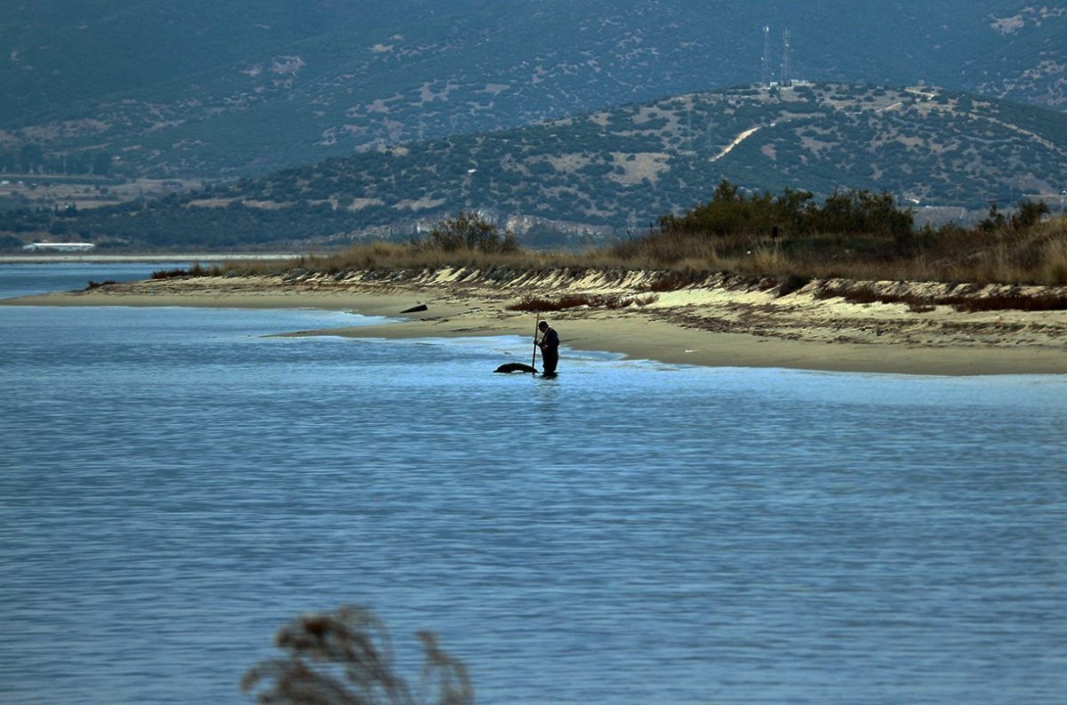 Το Λιμενικό εντόπισε ναρκωτικά σε παραλία της Καβάλας Το Λιμενικό εντόπισε ναρκωτικά σε παραλία της Καβάλας