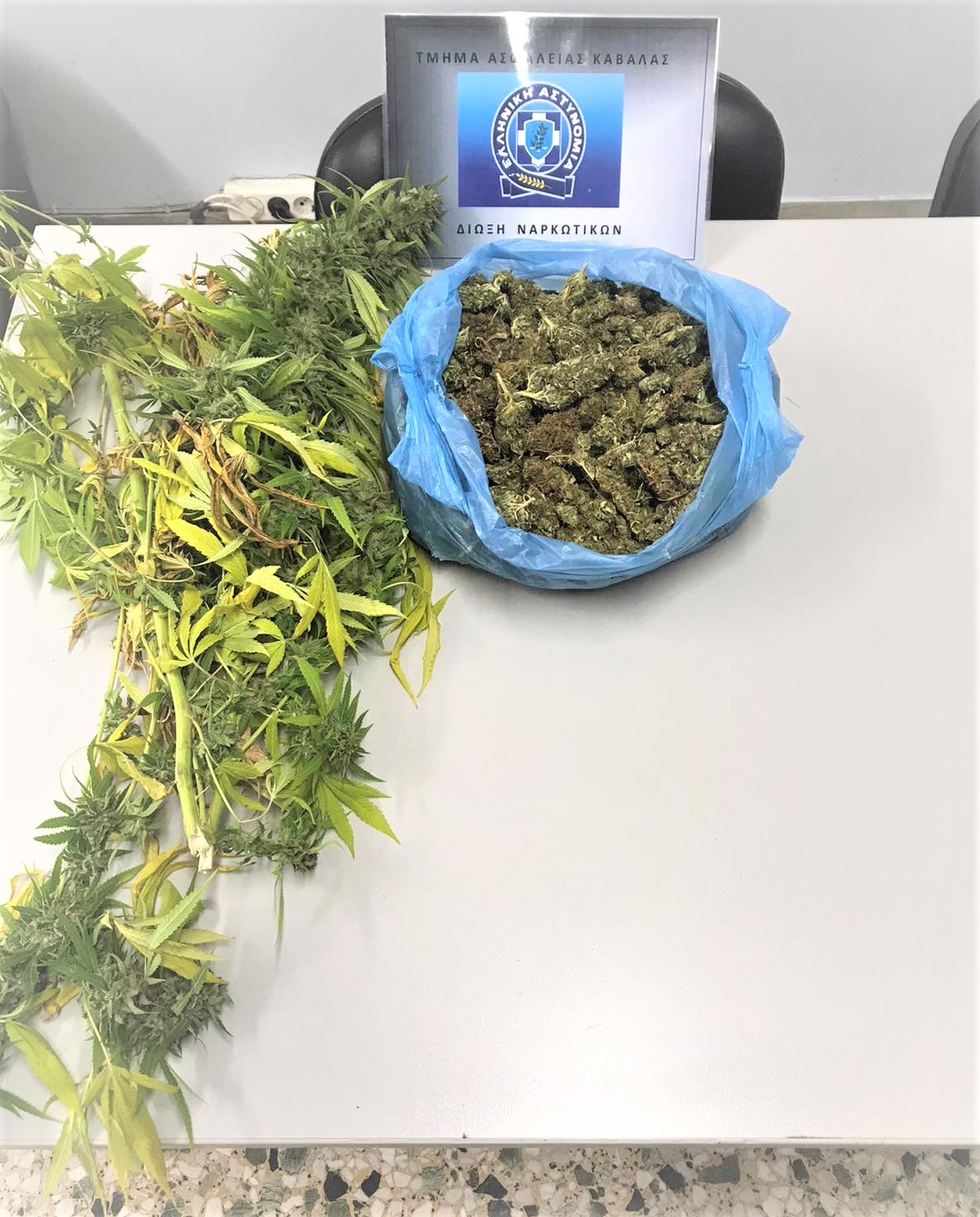 Στο πλαίσιο ειδικών δράσεων για την καταπολέμηση της διάδοσης των ναρκωτικών συνελήφθησαν τρία (3) άτομα σε περιοχές της Ανατολικής Μακεδονίας και Θράκης Στο πλαίσιο ειδικών δράσεων για την καταπολέμηση της διάδοσης των ναρκωτικών συνελήφθησαν τρία (3) άτομα σε περιοχές της Ανατολικής Μακεδονίας και Θράκης