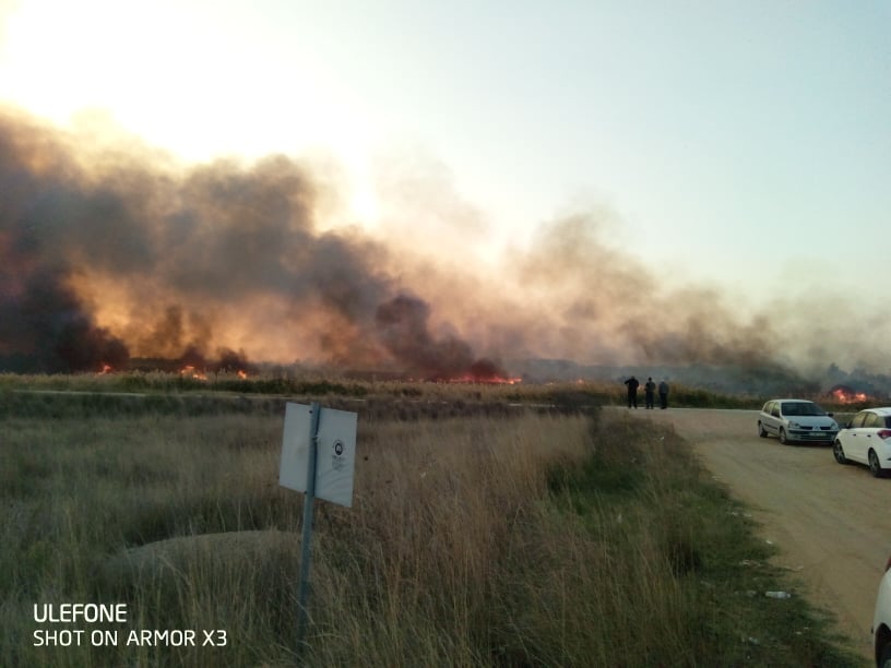 Μεγάλη φωτιά ξέσπασε εδώ και λίγη ώρα στο Λιμάνι Ιμέρου Ροδόπης Μεγάλη φωτιά ξέσπασε εδώ και λίγη ώρα στο Λιμάνι Ιμέρου Ροδόπης