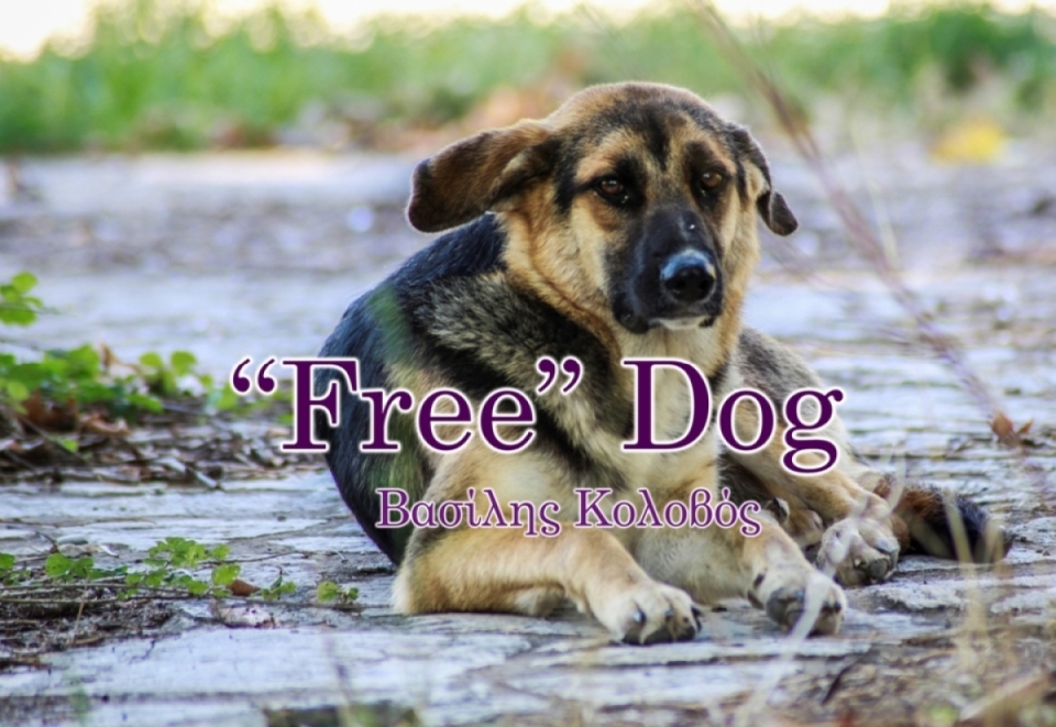 “Free” Dog | το τραγούδι και βιντεοκλίπ που ευαισθητοποιεί για τα δικαιώματα των ζώων “Free” Dog | το τραγούδι και βιντεοκλίπ που ευαισθητοποιεί για τα δικαιώματα των ζώων