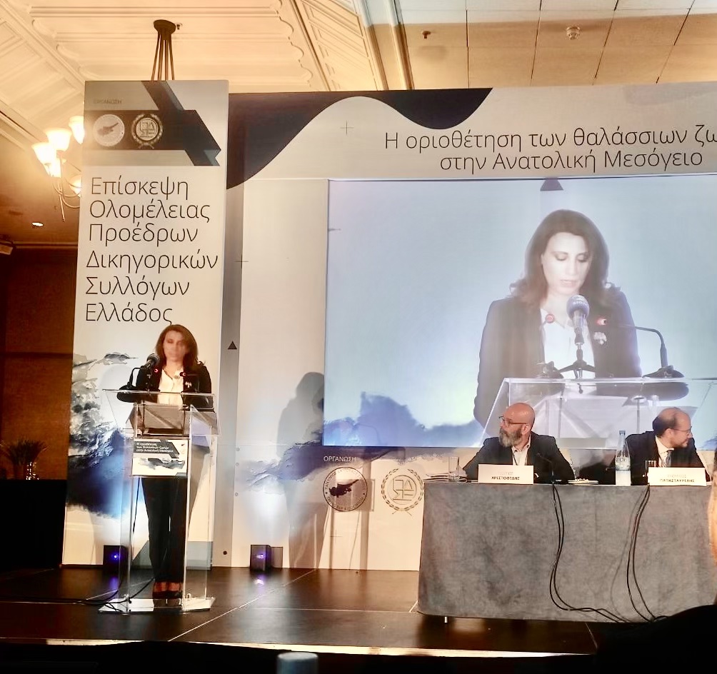 Νίνα Κασιμάτη: Η διεθνής ατιμωρησία της Τουρκίας ναρκοθετεί την Ανατολική Μεσόγειο Νίνα Κασιμάτη: Η διεθνής ατιμωρησία της Τουρκίας ναρκοθετεί την Ανατολική Μεσόγειο