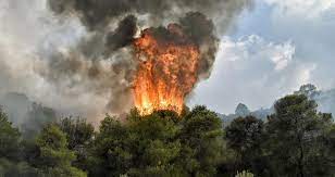 Χαρίτου: «Βαρύτατες οι ευθύνες της κυβέρνησης για τις ζημιές που προκλήθηκαν σε 20.000 στρέμματα στο Παπίκιο Όρος».
