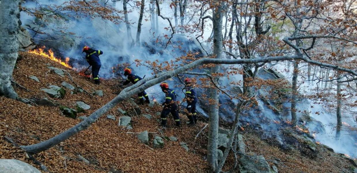 Ο βουλευτής Ροδόπης ΣΥΡΙΖΑ-ΠΣ Δημήτρης Χαρίτου φέρνει προ των ευθυνών τους την κυβέρνηση και τον αρμόδιο υπουργό για την καταστροφική πυρκαγιά στο Παπίκιο Όρος