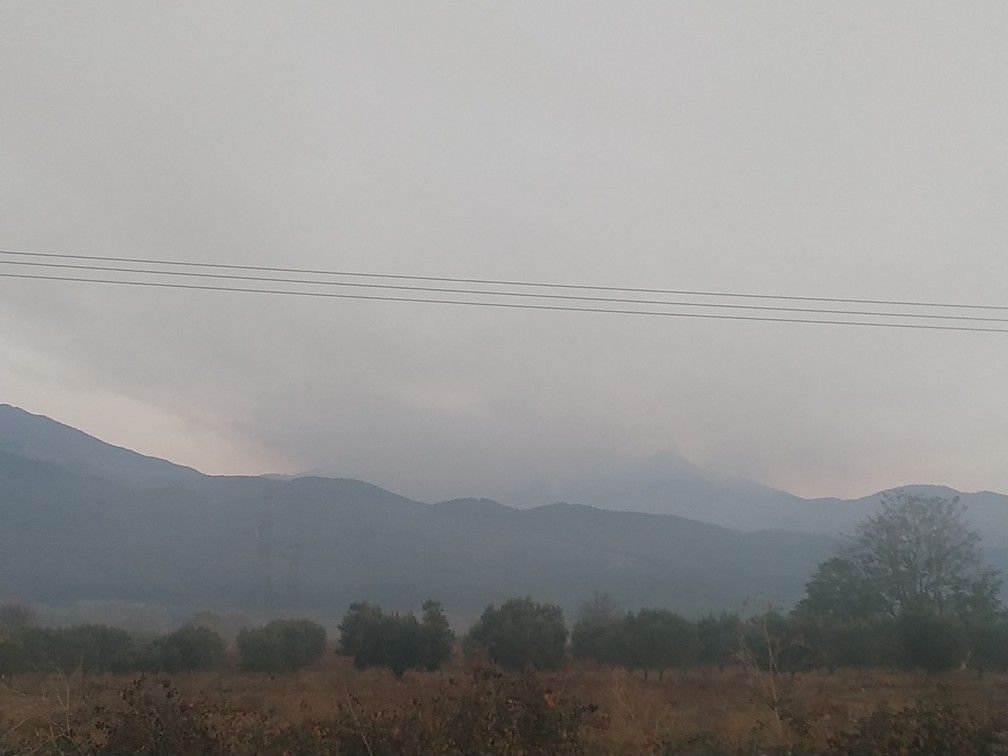 Υπό μερικό έλεγχο η φωτιά που ξέσπασε στο Παπίκιο