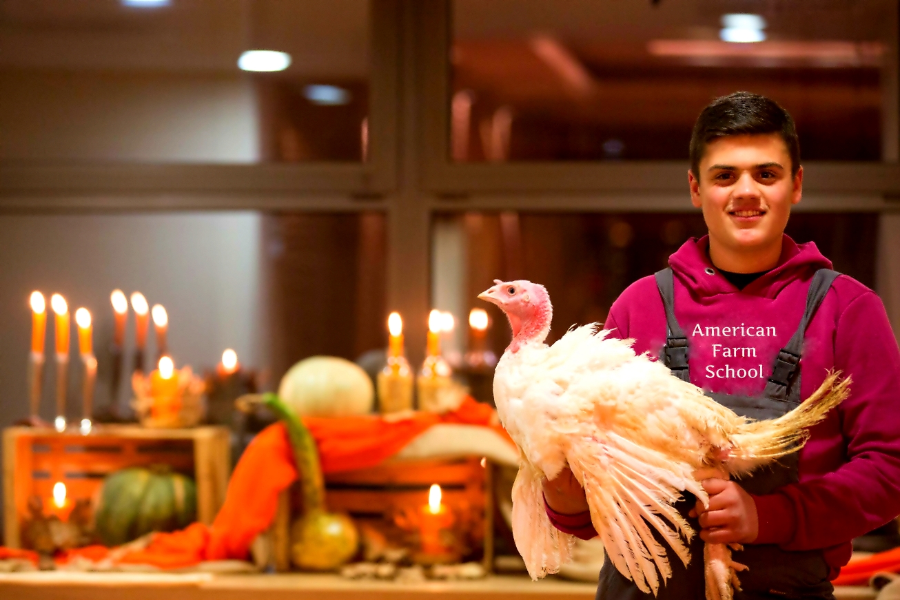 Η «βασίλισσα» του Χριστουγεννιάτικου τραπεζιού Η «βασίλισσα» του Χριστουγεννιάτικου τραπεζιού