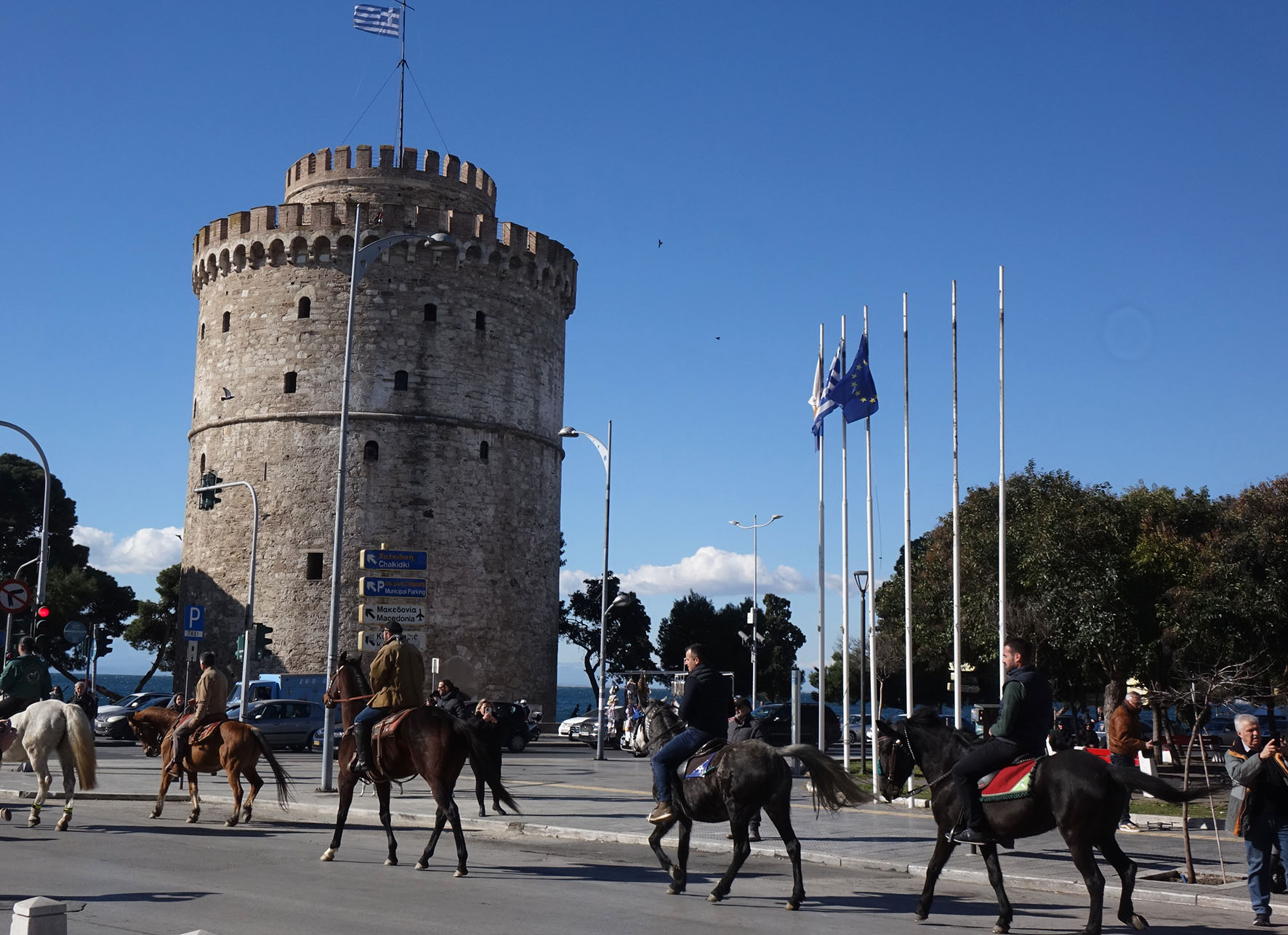 “Πανόραμα” του πρωτογενούς τομέα η φετινή Zootechnia – Εντυπωσιάζουν οι τεχνολογικές εξελίξεις του κλάδου – “Μαγνήτισαν” επισκέπτες και κατοίκους τα άλογα από το Σαλόνι Αλόγου