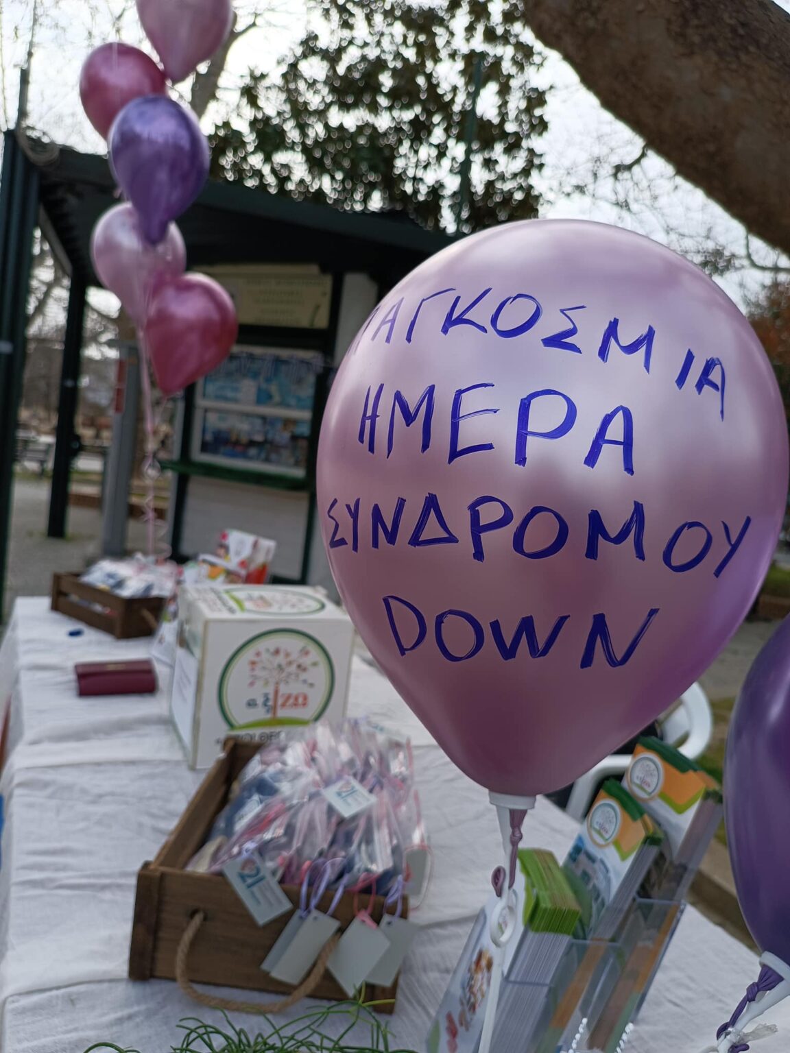 21 Μαρτίου: Παγκόσμια Ημέρα Συνδρόμου Down και εκδήλωση ευαισθητοποίησης στην πλατεία Κομοτηνής 21 Μαρτίου: Παγκόσμια Ημέρα Συνδρόμου Down και εκδήλωση ευαισθητοποίησης στην πλατεία Κομοτηνής