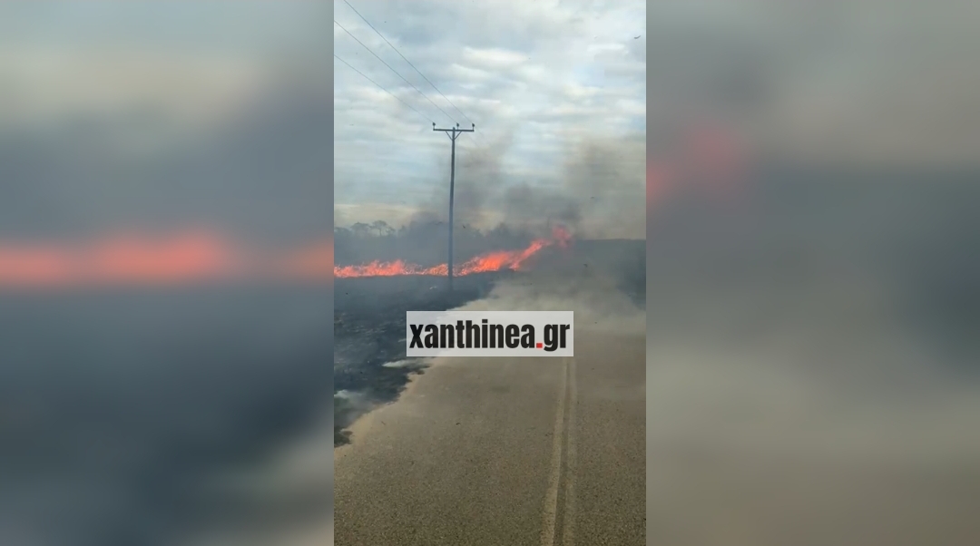 Πυρκαγιά σε παραλιακή ζώνη στην Ξάνθη