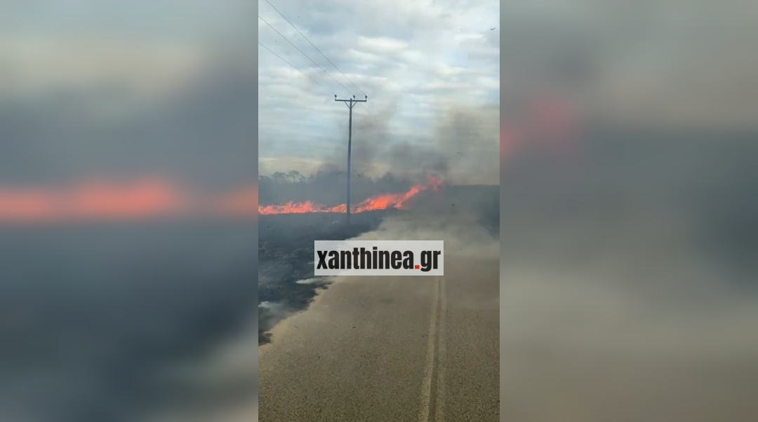 Πυρκαγιά σε παραλιακή ζώνη στην Ξάνθη Πυρκαγιά σε παραλιακή ζώνη στην Ξάνθη